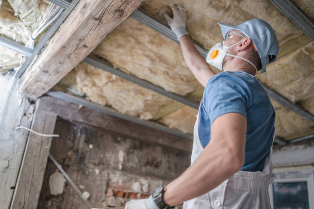 Best Professional Insulation Contractor  in Boiling Springs, SC